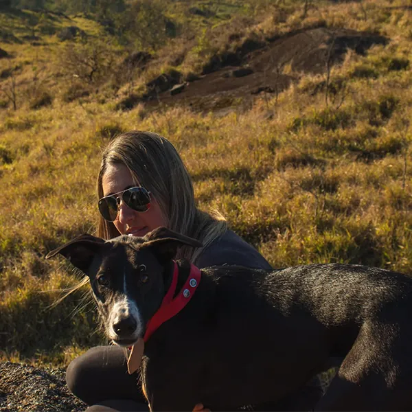 Cachorro no camping